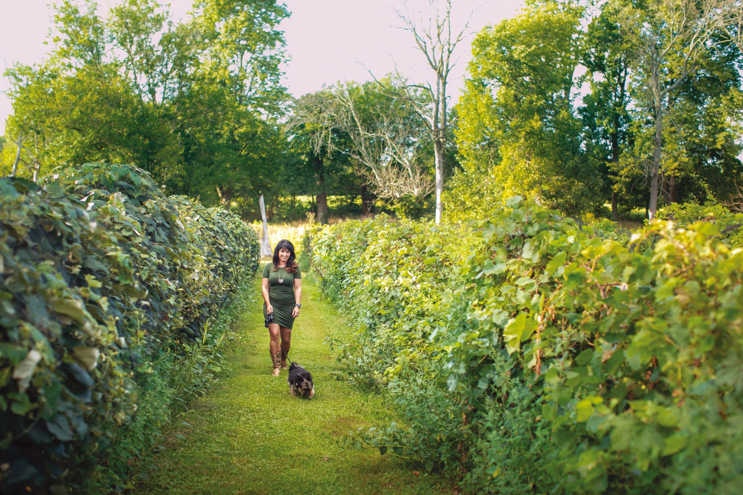 A woman walking through the vineyard of Belgian Horse Winery in Middletown, Indiana