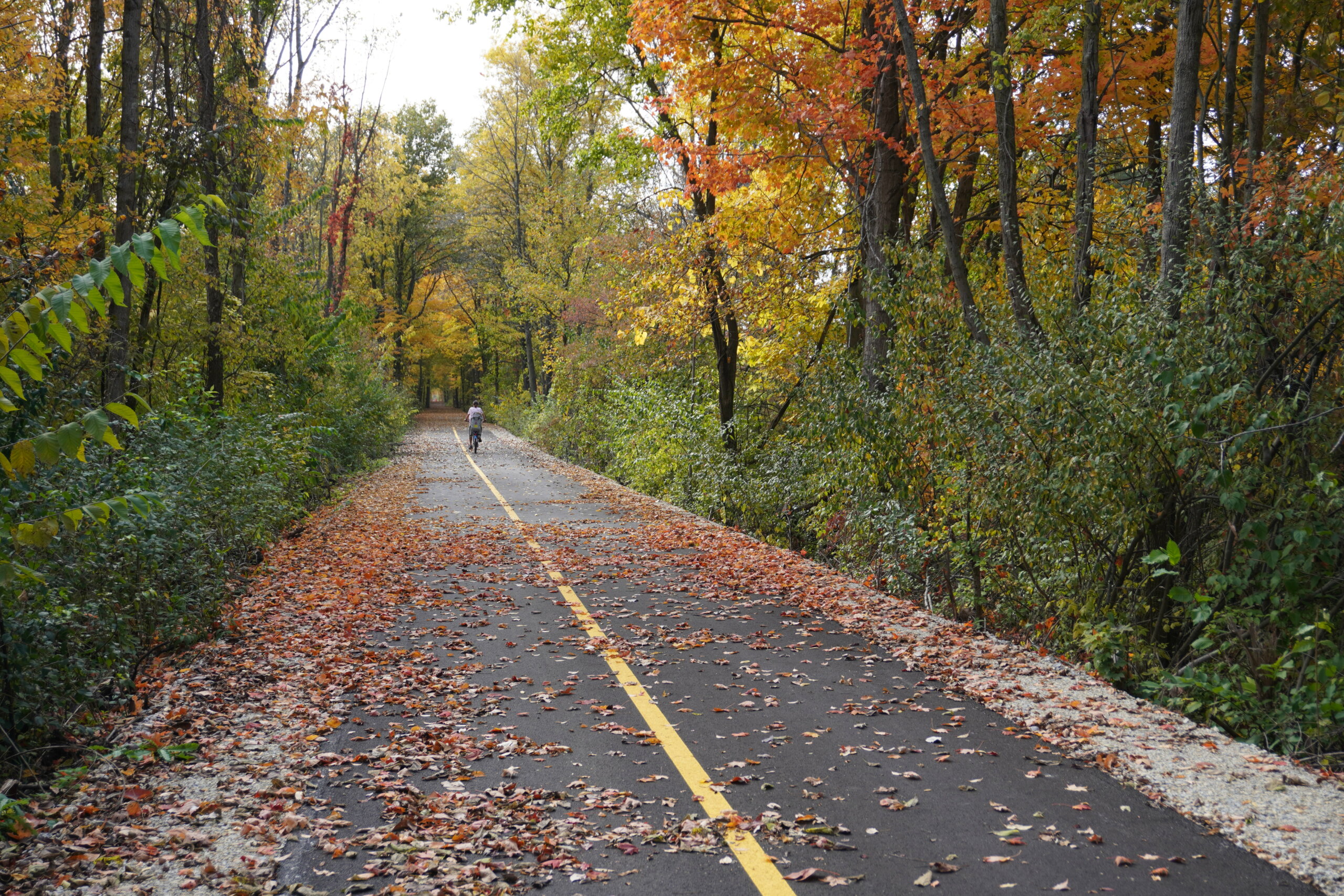 Ribbon Cutting Marks Completion of Phase Three for Wilbur Wright Trail